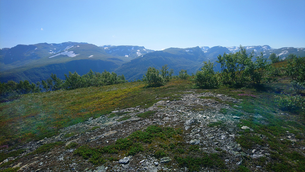 Fra Daurmålshaugen mot Vikafjellet