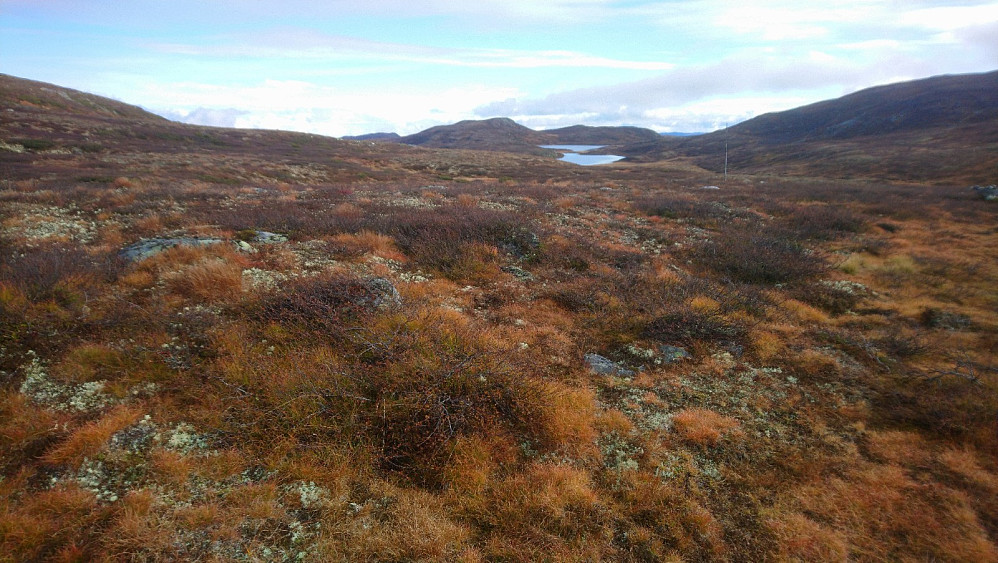 Utsikt over Langetjern