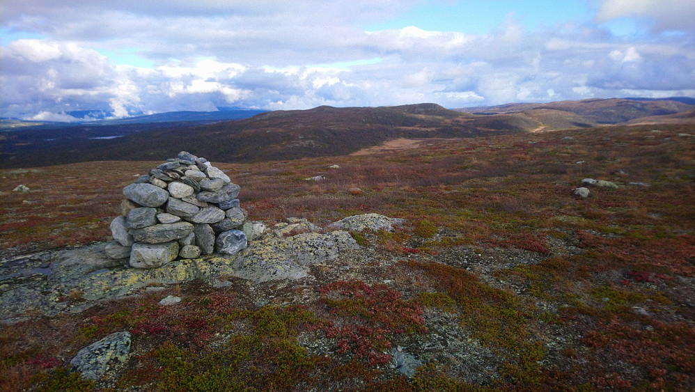 Raudskrinibbi