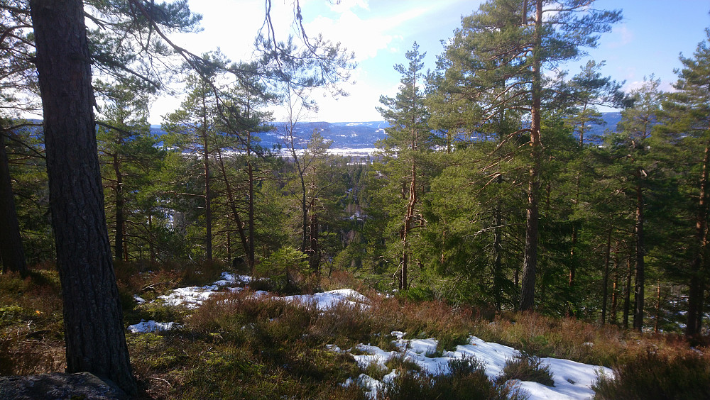 Lunchutsikt