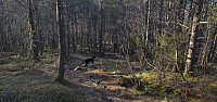 mannen_20190420_5cbadf0f58cf3.jpg