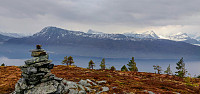 mannen_20190421_5cbca4648a7a5.jpg