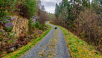 mannen_20190421_5cbca50a04bd0.jpg