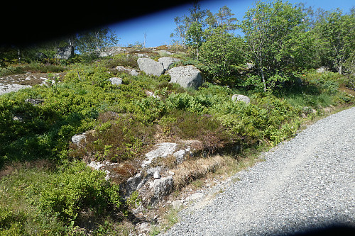 Stien inn til venstre til Lyfjellet