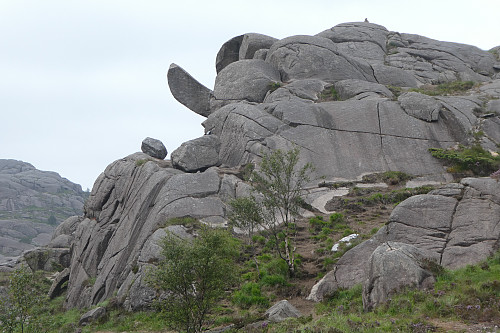 Trollpikken
