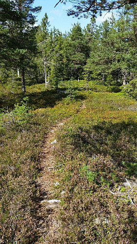 Stien mot Pikstein