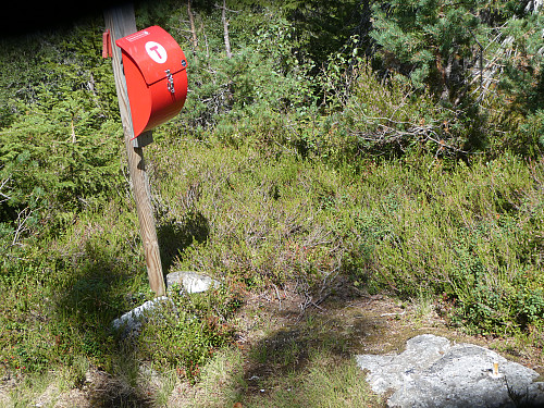 Prestesteråsen øst