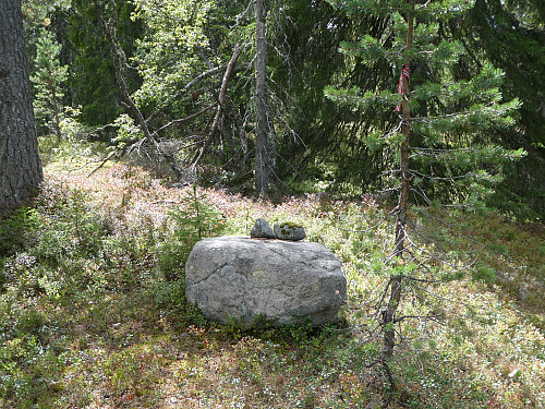 Prestesteråsen vest