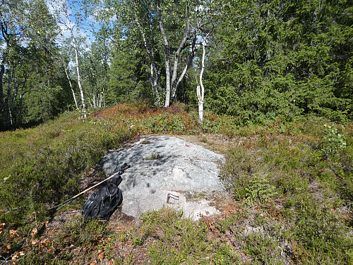 Annevannshøgda