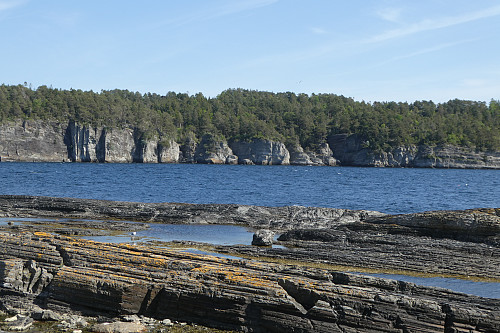 Jypleviktangen