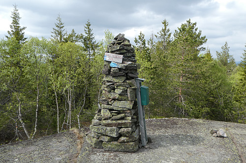 Toppvarden