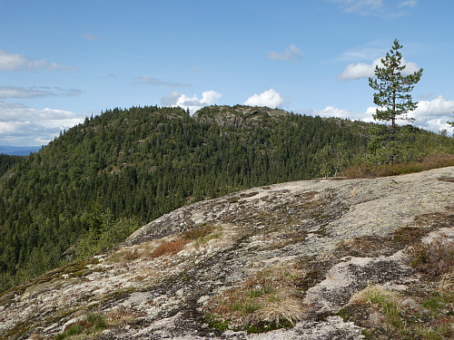 Vardefjell sett fra Skåråfjell.