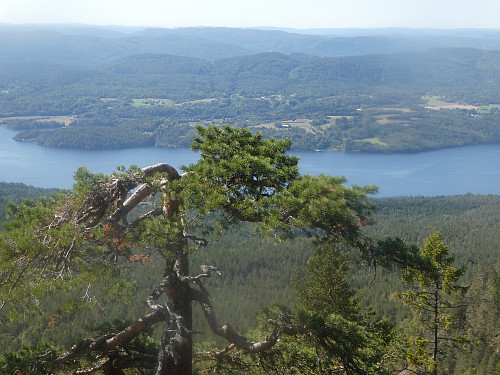 Utsikt mot vest
