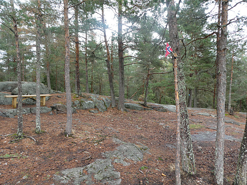 Tinnskollen