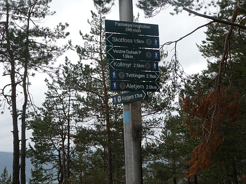 Godt merket
