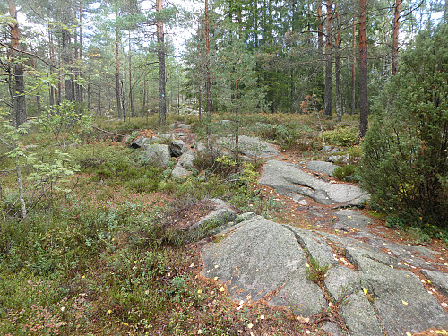 Flott sti oppover og godt merket.