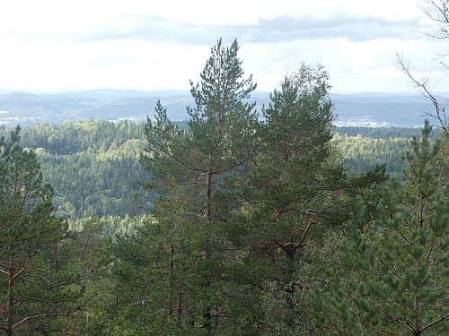 Utsikt mot Porsgrunn