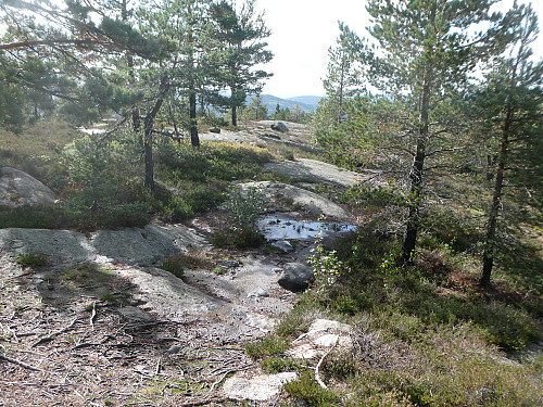 Toppen er nådd
