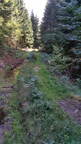 Traktorvei
