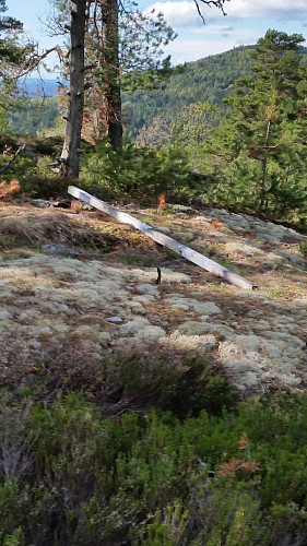 Rester fra masta på Brudalskollen.
