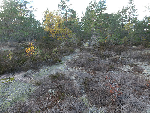 Ulvskollene