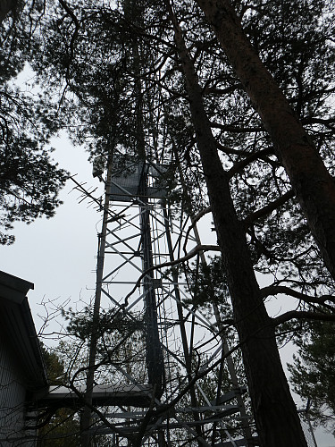 Mast på toppen
