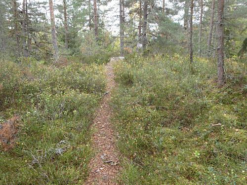 Nå nærmer vi oss toppen.