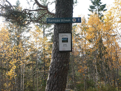 Toppunktet