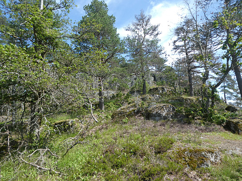 Etter at en var ferdig med renna tok jeg av til høyre.
Her var det forholdsvin greit terreng helt opp til toppen.