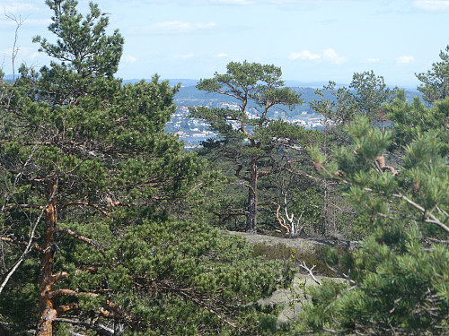Utsikt mot Kragerø fra toppen.