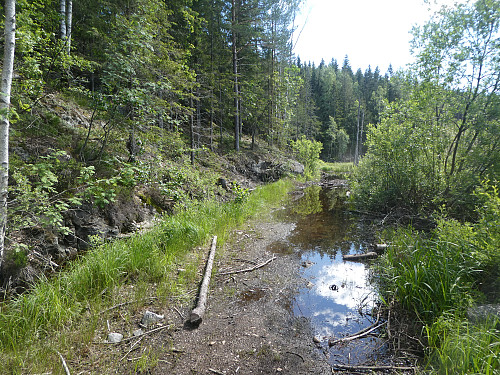 Stien starter her inn til venstre.