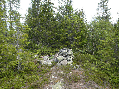 Varden på toppen.
