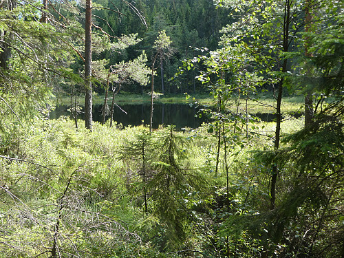 Idyllisk vann.