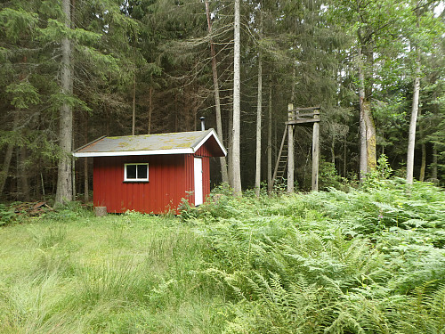 Koie med observasjonstårn
