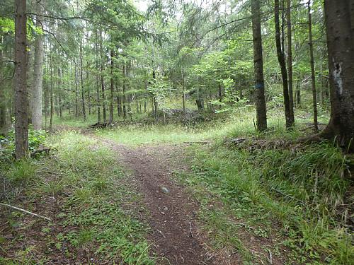 Her tok jeg av til høyre og fukgte blåmerket sti helt opp til fjellskareteller kløfta. 