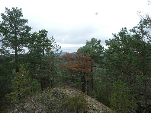 Utsikten