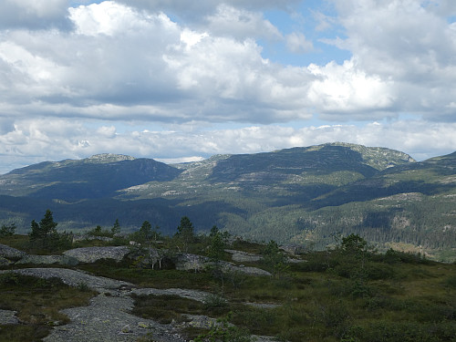 Utsikt nordover fra Skjenan