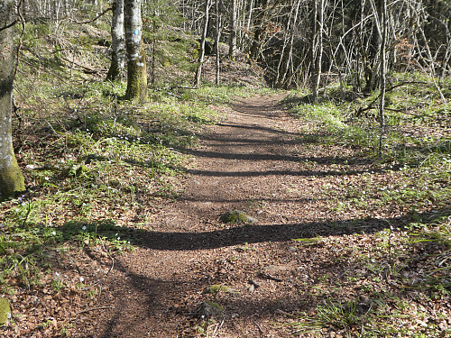..og videre mot toppen.