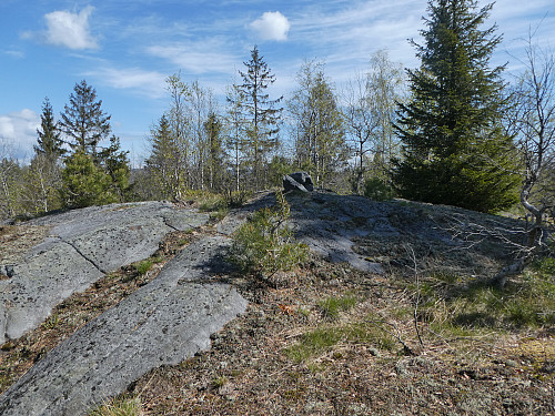 Varde på Sandvikkollana Sør.