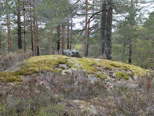 Toppen. 