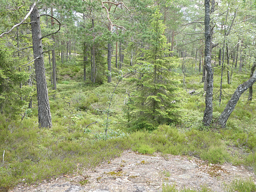 Toppomrrådet.