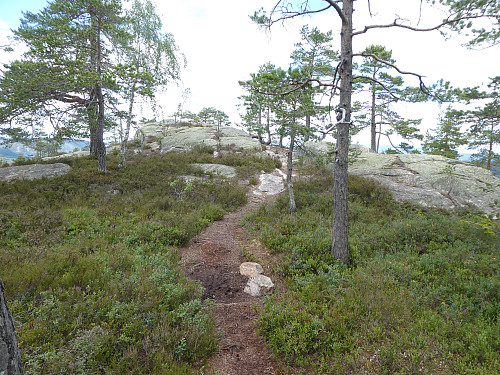 Toppområdet med toppunktet i bakgrunnen.