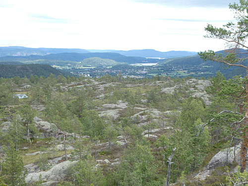 Utsikt fra hvilebenken.
