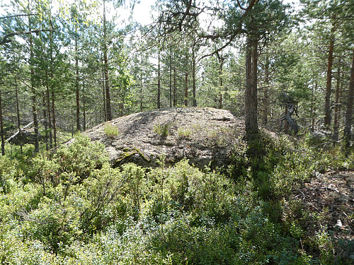 Toppunktet