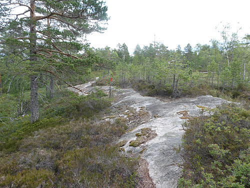 Omtrent halveis flater stien ut og det blir mer svafjell bort til toppen.