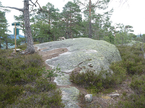 Toppunktet