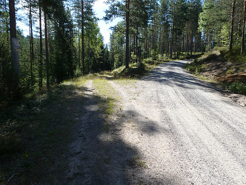 Etter å ha fulgt grusveien et stykke , tok jeg inn på bomveien her.
