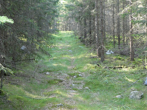 Traktorveien oppover.