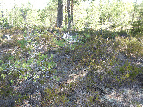 Rester etter trig.punktet med boltfeste.