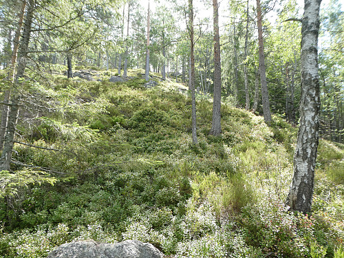 Terrenget opp mot toppen etter å ha passert høyspenledningene.